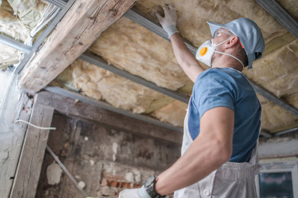 Best Insulation Contractors for Homes  in Fairfax, IA